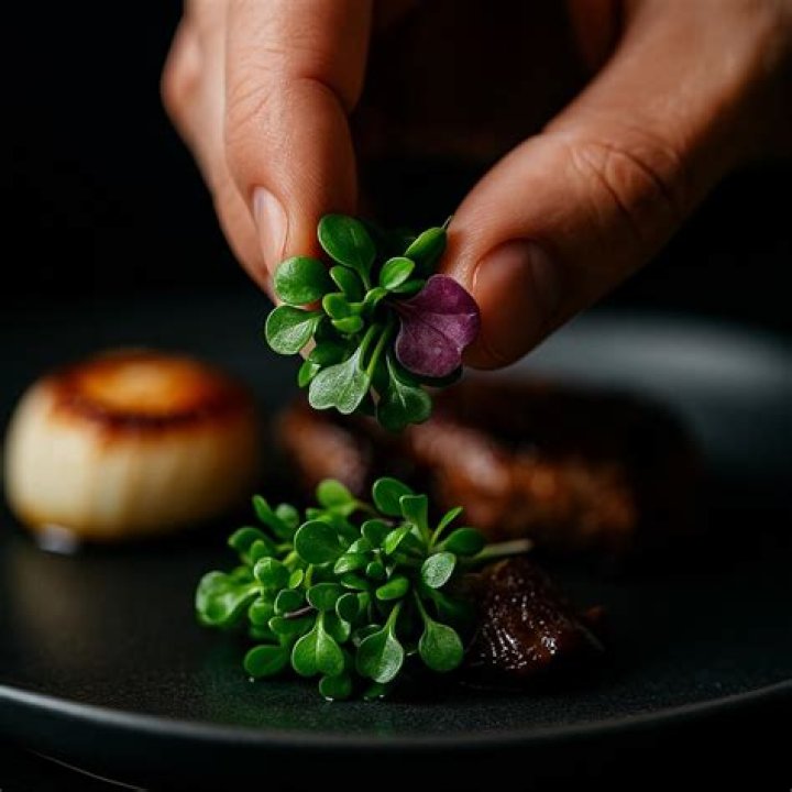 10 Essential Microgreens for Elevating Gourmet Plating Aesthetics