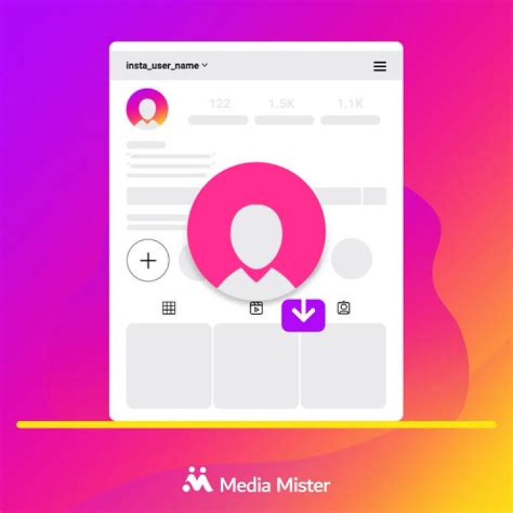 Free Instagram Toolkit: Essential Tools Every Profile Downloader User Needs