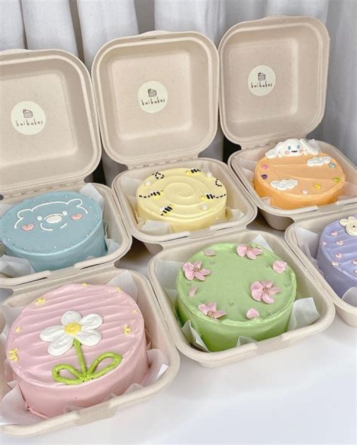 Korean Bento Cake Trends: Aesthetic Inspirations from Seoul Bakeries