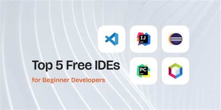 Top 5 Free Tools to Download Instagram Photos and Videos in 2024