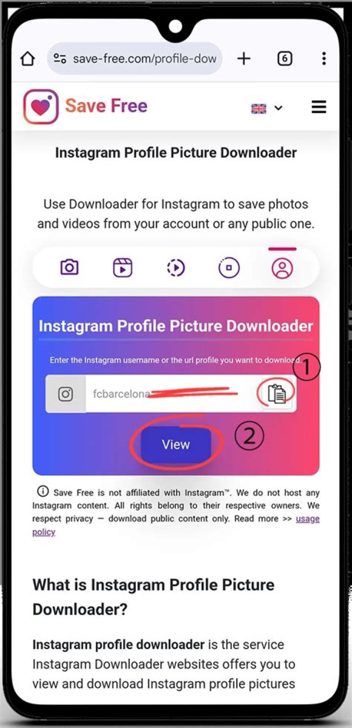 Top 5 Free Tools to Download Instagram Profile Pictures in HD