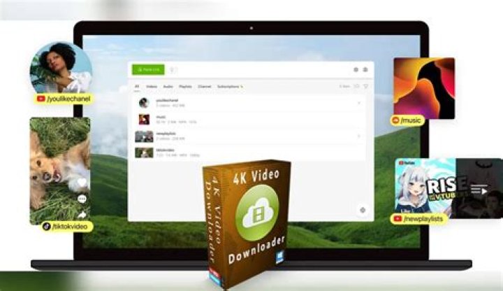 Top 5 Free Twitter Tools Every Video Downloader Needs in 2024