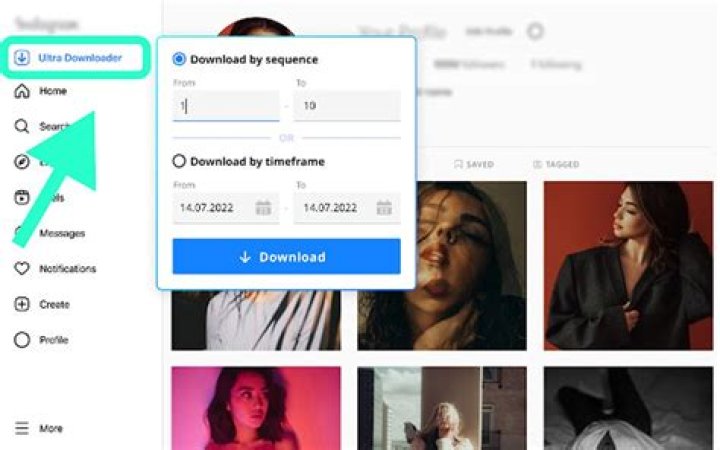 Ultimate Guide to Free Instagram Bulk Downloader for Posts and Reels