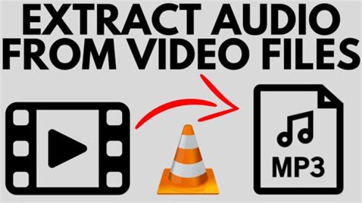 Ultimate Guide to the Best Free YouTube Audio Extractor Tools in 2024